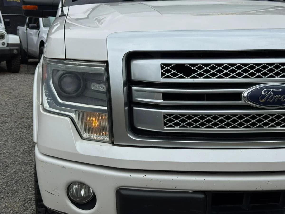 2015 FORD F-150 - Imagen 3
